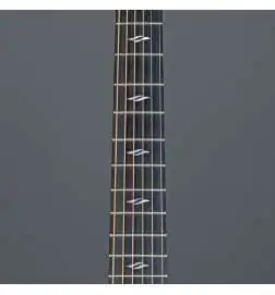 Sigma Guitars GTCSE-1