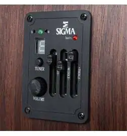 Sigma Guitars GTCSE-1