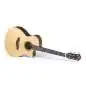 Sigma Guitars GTCSE-1