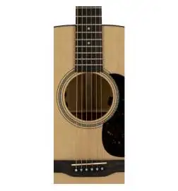 Martin Guitars D-16E-02