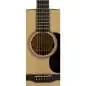 Martin Guitars D-16E-02