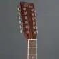 Red Hill AF-8 12-String High Gloss