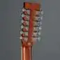 Red Hill AF-8 12-String High Gloss Red Hill AF-8 12-String High Gloss