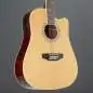 Red Hill AF-8 12-String High Gloss
