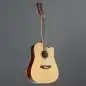 Red Hill AF-8 12-String High Gloss Red Hill AF-8 12-String High Gloss