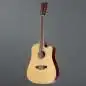 Red Hill AF-8 12-String High Gloss