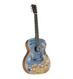 Martin Guitars OM Biosphere