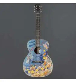 Martin Guitars OM Biosphere