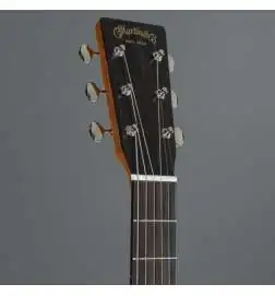 Martin Guitars OM Biosphere