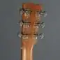 Martin Guitars OM Biosphere Martin Guitars OM Biosphere