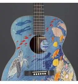 Martin Guitars OM Biosphere