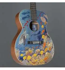Martin Guitars OM Biosphere