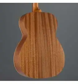 Martin Guitars OM Biosphere