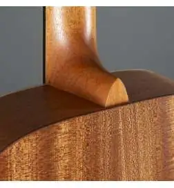 Martin Guitars OM Biosphere