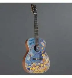 Martin Guitars OM Biosphere