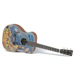 Martin Guitars OM Biosphere