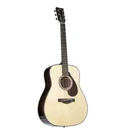 Yamaha FG 9R
