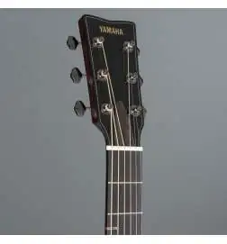Yamaha FG 9R