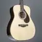 Yamaha FG 9R
