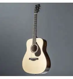 Yamaha FG 9R