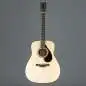 Yamaha FG 9M