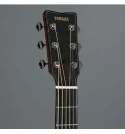Yamaha FG 9M