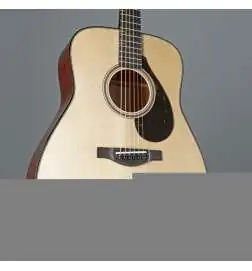Yamaha FG 9M