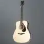 Yamaha FG 9M