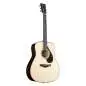 Yamaha FG9 MX