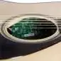 Yamaha FG9 MX