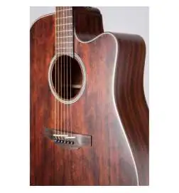 Takamine GD21CE SM
