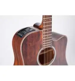 Takamine GD21CE SM