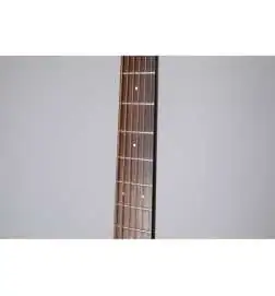 Takamine GD21CE SM