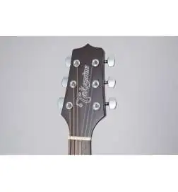 Takamine GD21CE SM