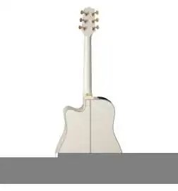 Takamine GD37CE PW