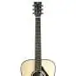 Yamaha FG9 RX