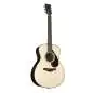 Yamaha FS9 RX