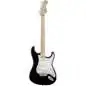 Fender Eric Clapton Stratocaster (Black)