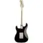 Fender Eric Clapton Stratocaster (Black)