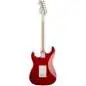 Fender Eric Clapton Stratocaster (Torino Red)