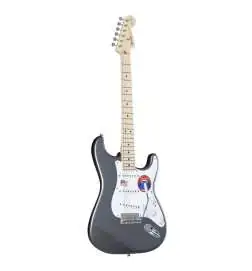 Fender Eric Clapton Stratocaster MN Pewter