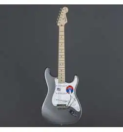 Fender Eric Clapton Stratocaster MN Pewter