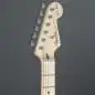 Fender Eric Clapton Stratocaster MN Pewter