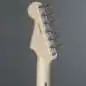Fender Eric Clapton Stratocaster MN Pewter