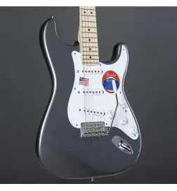 Fender Eric Clapton Stratocaster (Pewter)