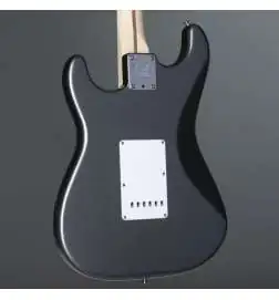Fender Eric Clapton Stratocaster MN Pewter