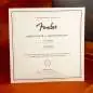 Fender Eric Clapton Stratocaster MN Pewter