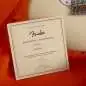 Fender Eric Clapton Stratocaster MN Olympic White
