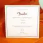 Fender Jeff Beck Stratocaster Surf Green