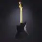 Fender Jim Root Jazzmaster